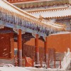456已经去了456
