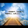 小小鸟