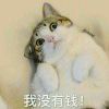 走走