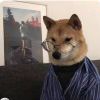 Xi狼来了
