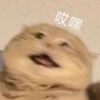 星星