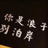 475828658