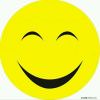 1392342966@qq.com